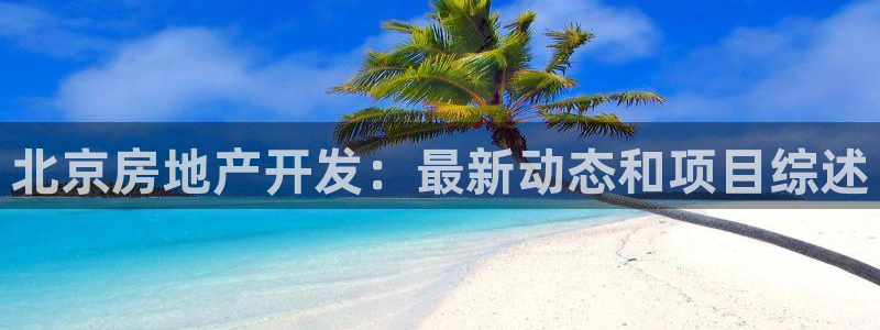 永利有限责任公司