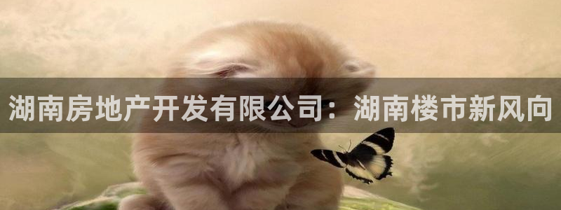 永利网是不是真的假的