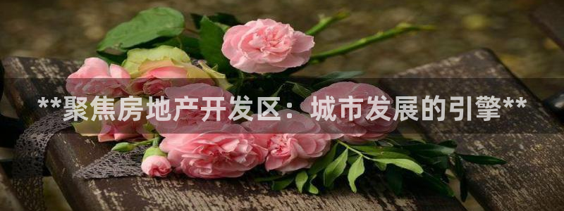 永利bet
