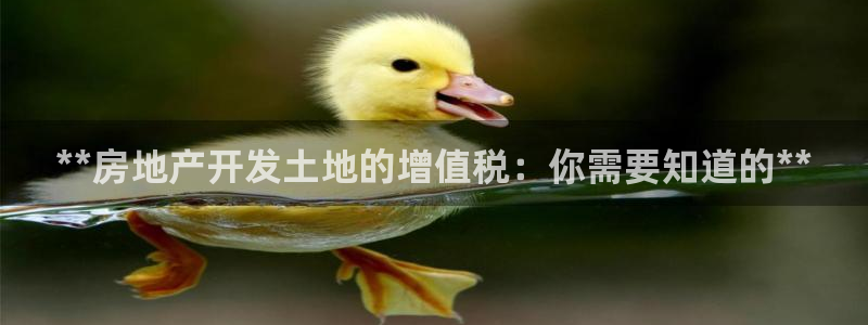 永利皮带型号说明图