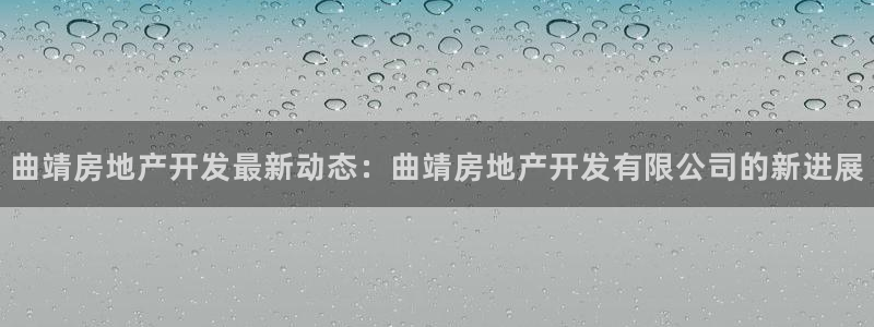 永利房地产有限公司董事长是谁