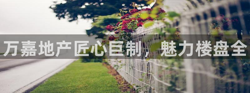 永利输的钱可以弄回来吗
