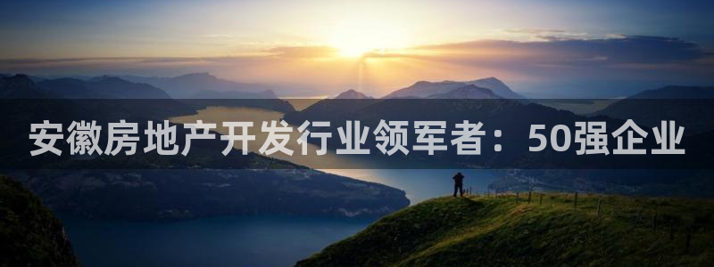 永利黄府黄立青信鸽图片