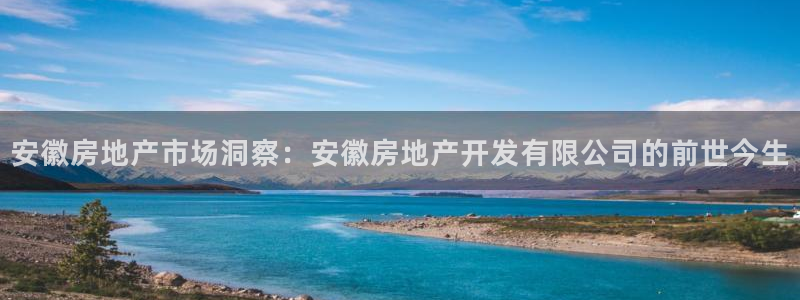 永利官网是什么