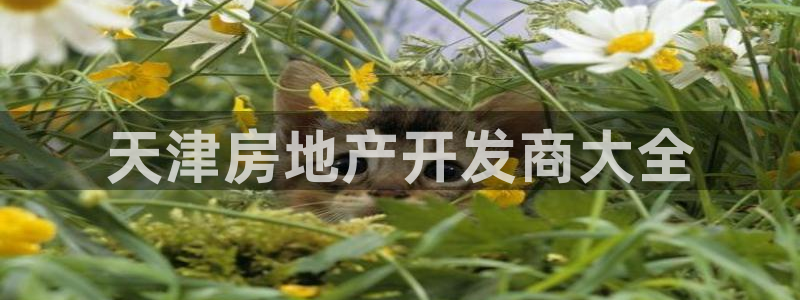 永利 老板