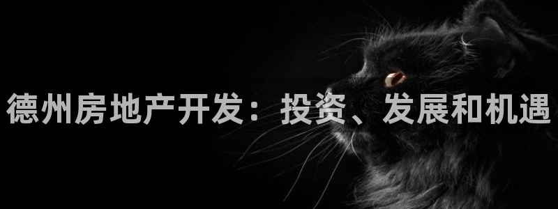 永利 老板