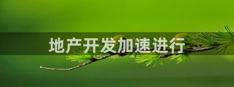 永利汇团购