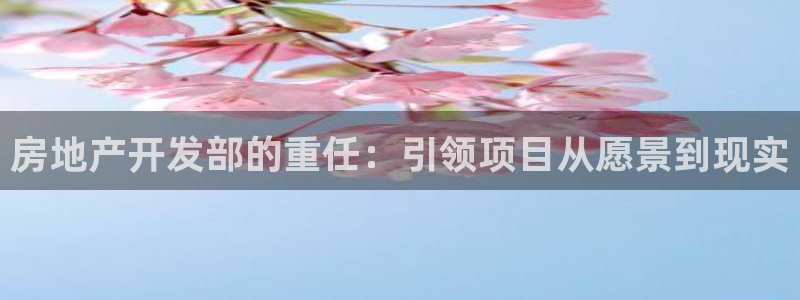 永利传送带业务