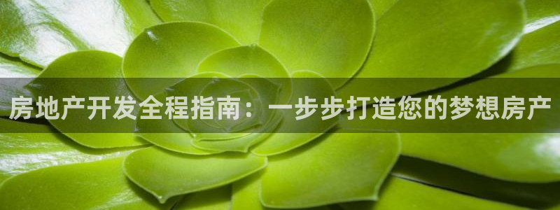 永利皮革