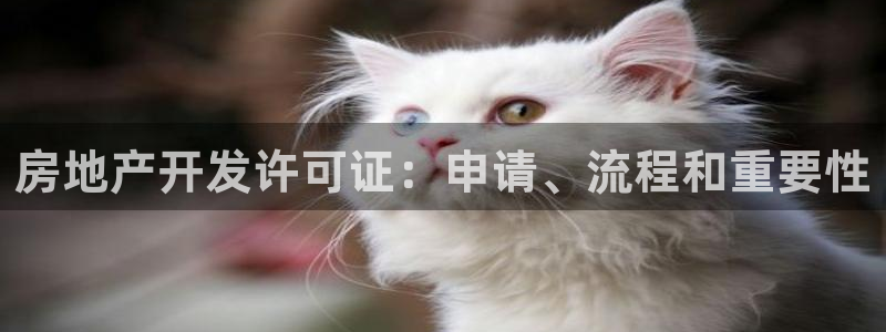 永利打不开