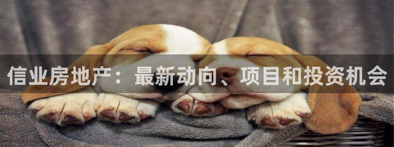 永利不给提款怎么办?