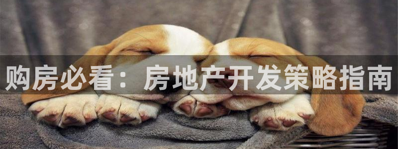 永利资管不给提款怎么解决