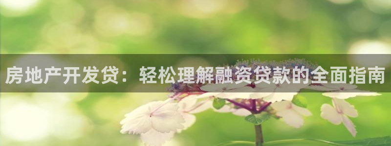 莱州永利集团