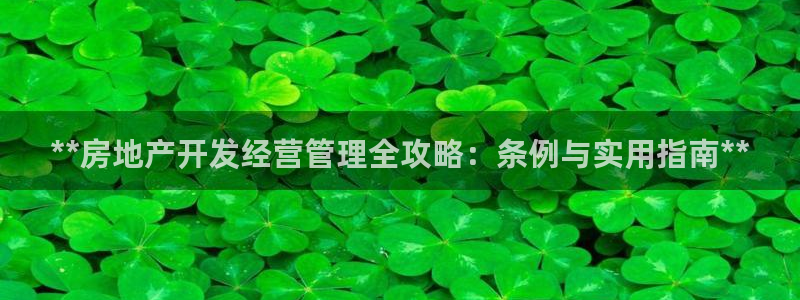 永利总裁