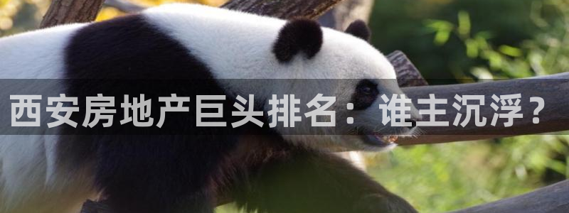 永利 股票