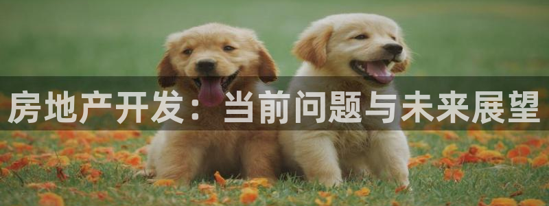 永利表行是正品吗
