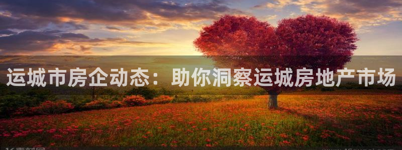永利皮带型号说明图