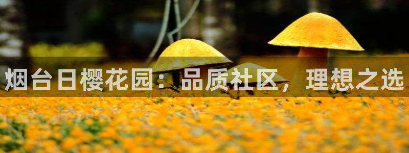永利 官网