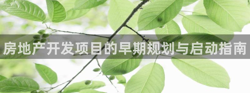 永利皮革