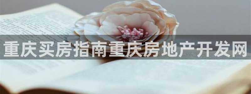 永利网是干什么的,能挣到钱吗安全吗