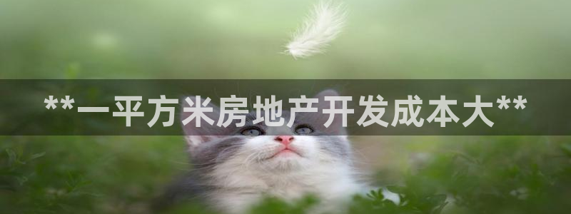 佛山永利工业皮带厂家