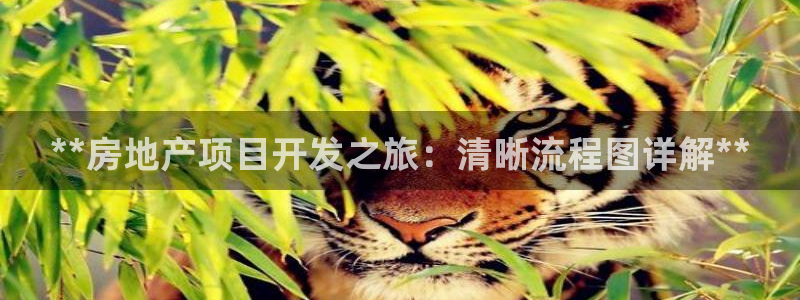 永利制衣