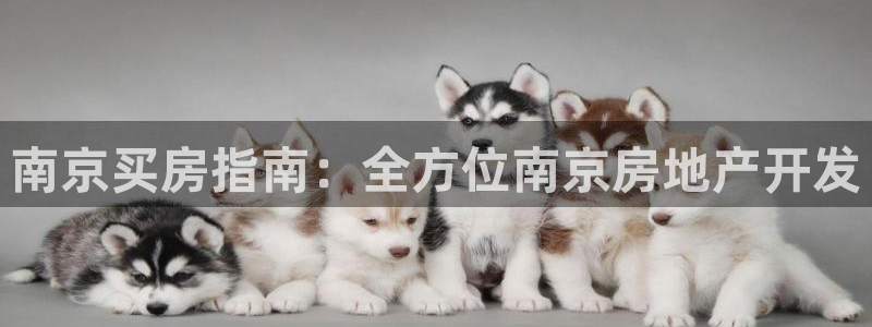 永利汇茶具官网