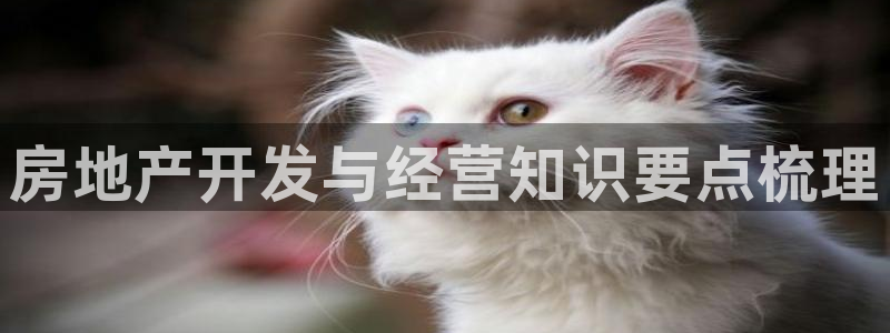 永利 老板