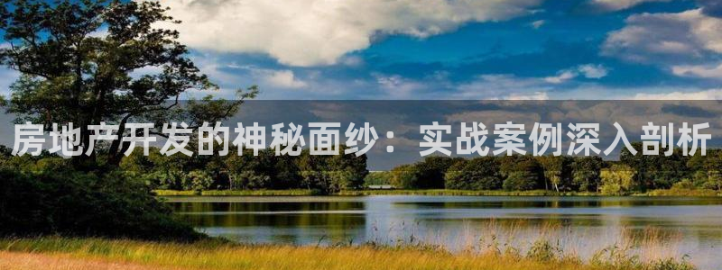 永利制带股票