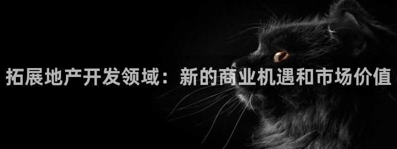 永利 股票