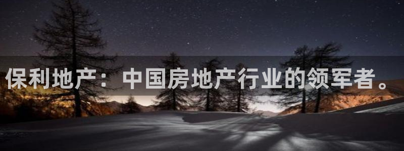永利建筑工程有限公司