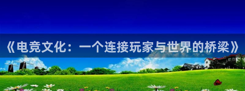 db电竞官网martini：《电竞文化：一个连接玩家与世界的桥梁》
